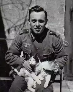 Kucing di Perang Dunia II.webp