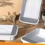 berikan kucing litter box yang sama