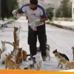Alaa, Supir Ambulans Syria sekaligus Pahlawan Para Kucing!