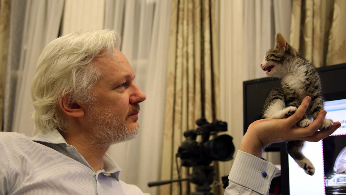 Embassy Cat, Kucing Peliharaan Founder WikiLeaks Julian Assange