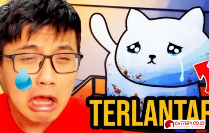 adopsi kucing jalanan