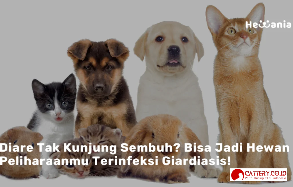 Bahaya Giardia pada Hewan Peliharaan