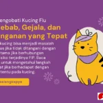 flu kucing gejala dan pengobatan