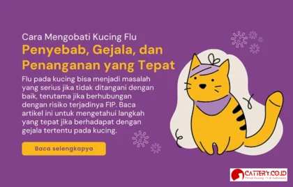 flu kucing gejala dan pengobatan