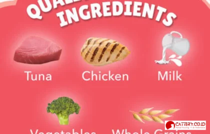 friskies kitten chicken & fish