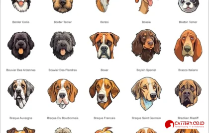 informasi ras anjing borzoi