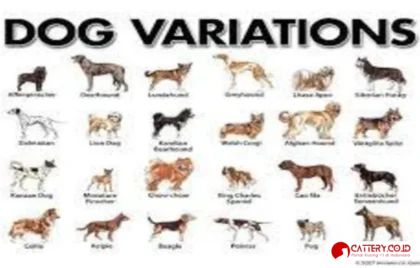 jenis hewan peliharaan