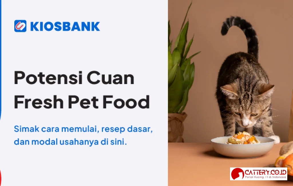 jualan pulsa santai dengan kucing