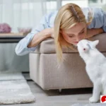 kenapa kucing mengikuti kita