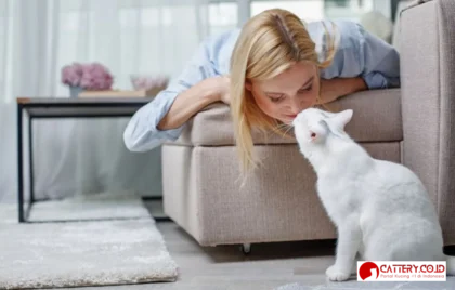 kenapa kucing mengikuti kita