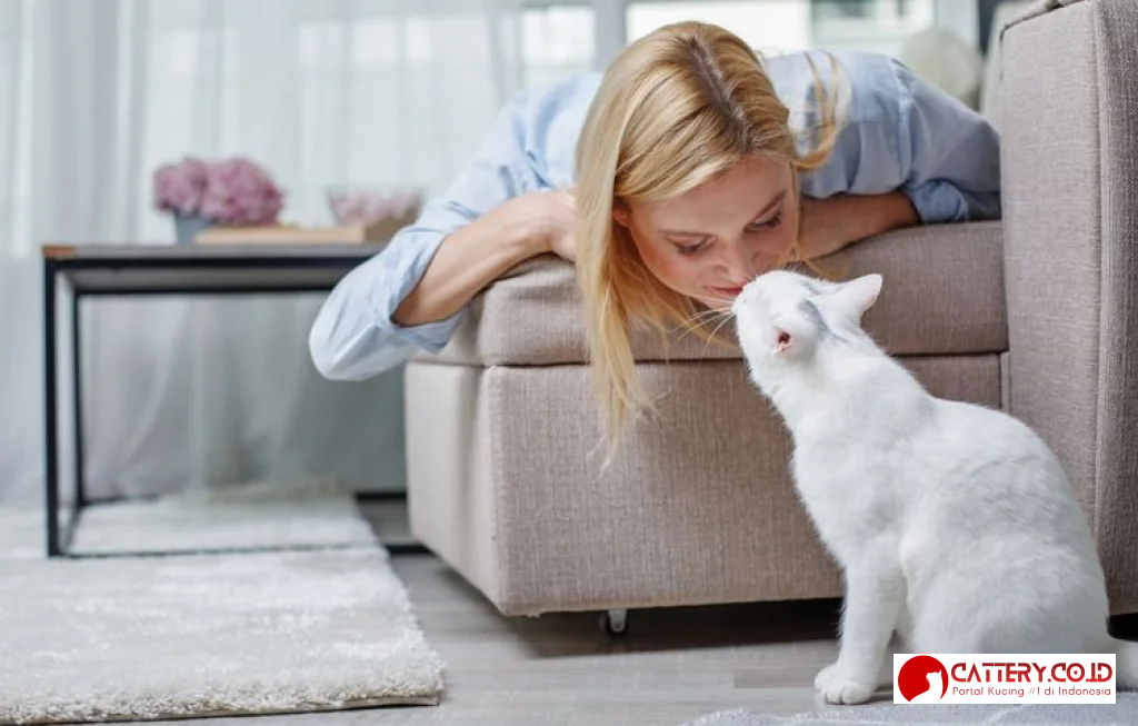 kenapa kucing mengikuti kita