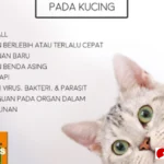 kucing muntah busa putih