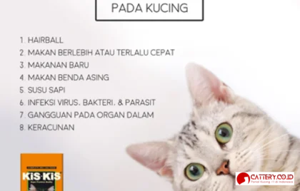 kucing muntah busa putih