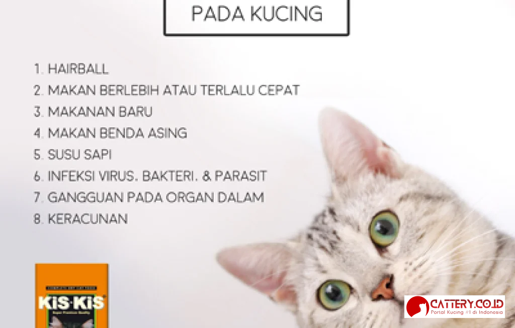 kucing muntah busa putih