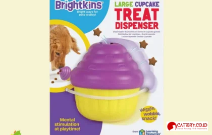 kucing Pet Republic Indonesia