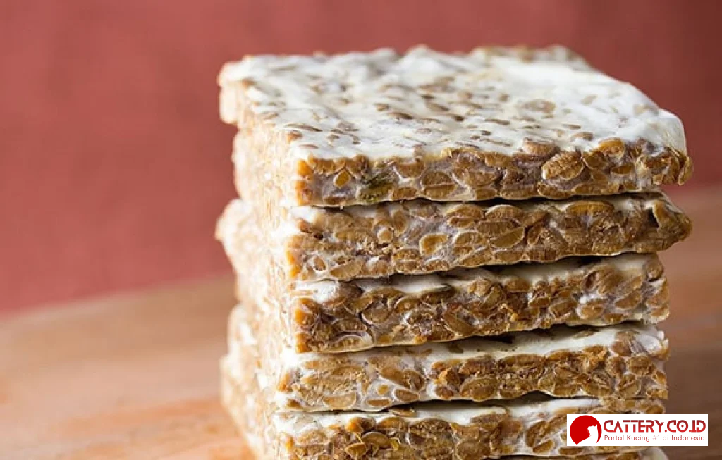 makanan anjing kampung terbaik