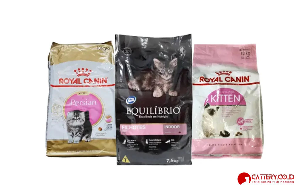 makanan kucing murah terlaris