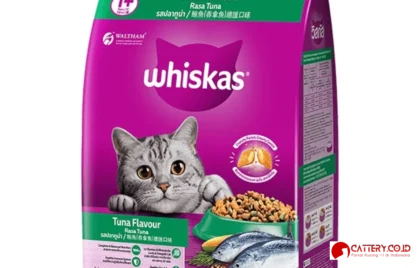 makanan kucing rasa tuna