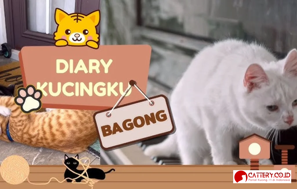 memandikan kucing kesayangan