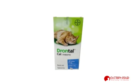 obat tetes anti kutu kucing