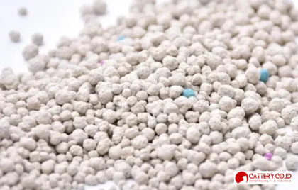 pasir kucing bentonite lavender