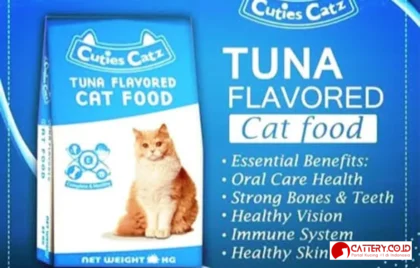 review makanan kucing cuties catz
