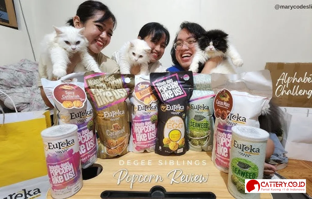 review makanan kucing eureka kitten