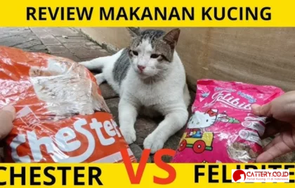 review makanan kucing felibite