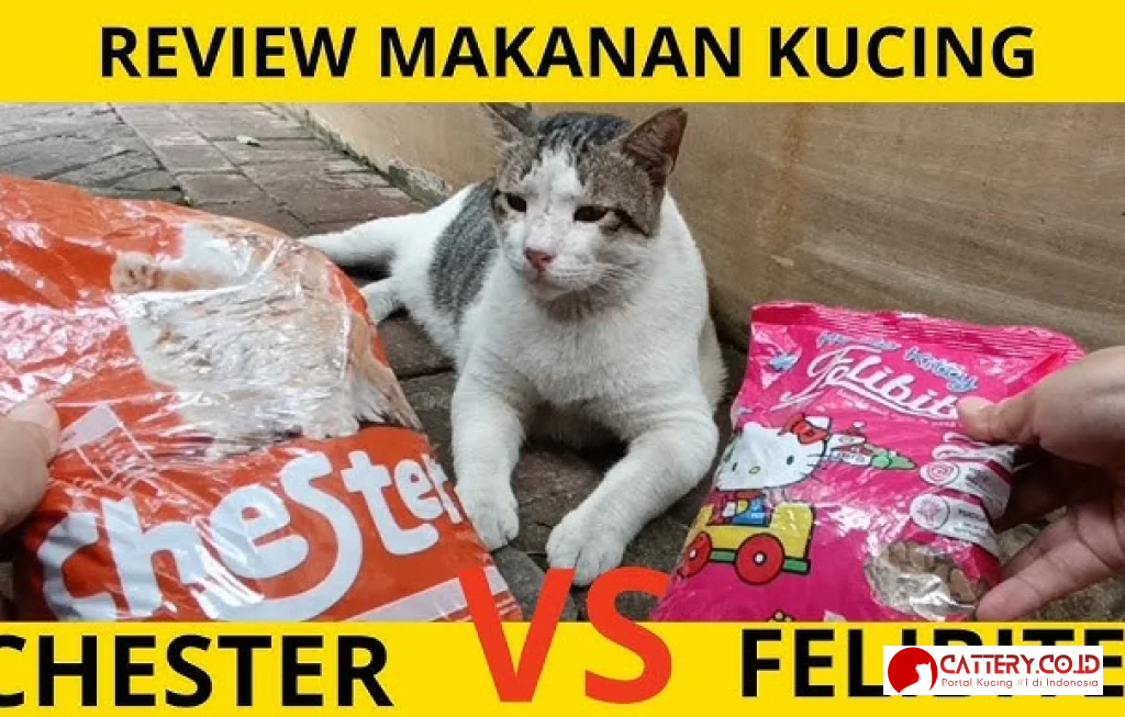 review makanan kucing felibite
