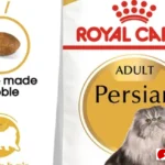 review makanan kucing grooviest