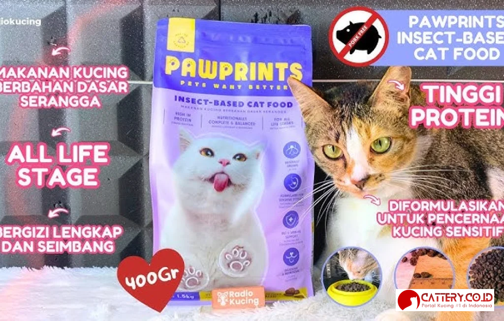 review makanan kucing pawprints