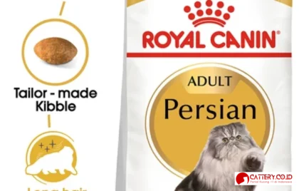 review makanan kucing persian