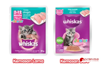 review makanan kucing whiskas junior