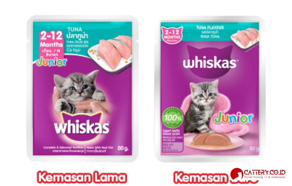 review makanan kucing whiskas junior