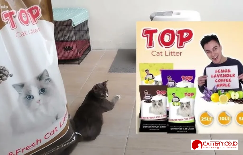 review pasir kucing gumpal