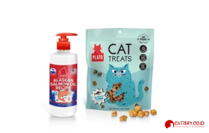 review shampoo kucing my kitty