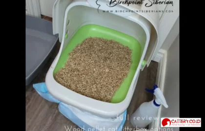 review wood pellet cat litter