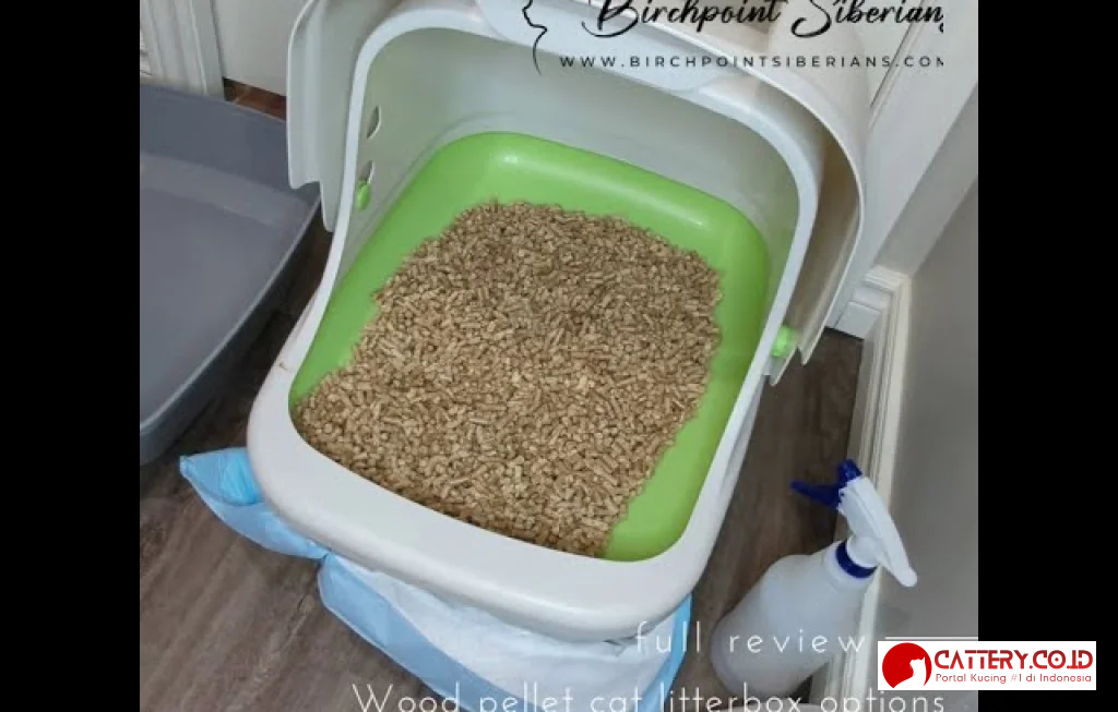 review wood pellet cat litter