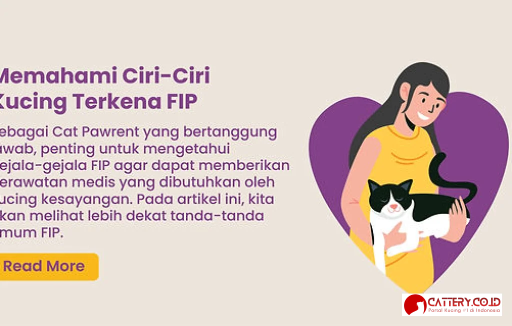 tanda awal FIP pada kucing