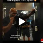 tips menjaga kucing indoor