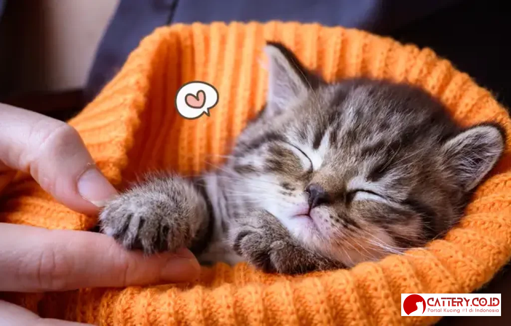 tips perawatan hewan peliharaan