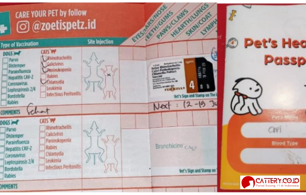 vaksinasi kucing Indonesia
