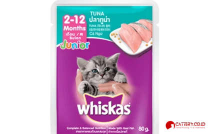 whiskas makanan kucing basah