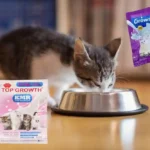 Susu Protein Kucing, Fungsi, Kandungan dan Cara Memilih yang Tepat